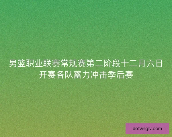 男篮职业联赛常规赛第二阶段十二月六日开赛各队蓄力冲击季后赛