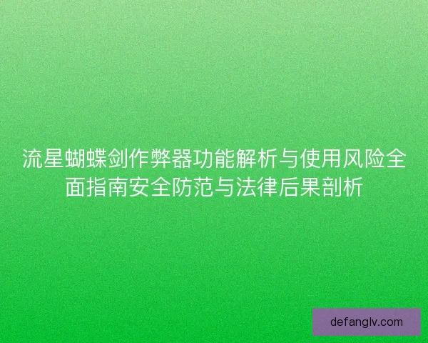 流星蝴蝶剑作弊器功能解析与使用风险全面指南安全防范与法律后果剖析