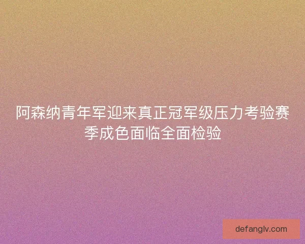 阿森纳青年军迎来真正冠军级压力考验赛季成色面临全面检验 阿森纳青年军迎来真正冠军级压力考验赛季成色面临全面检验