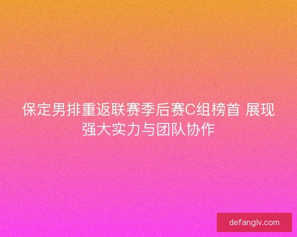 保定男排重返联赛季后赛C组榜首 展现强大实力与团队协作 保定男排重返联赛季后赛C组榜首 展现强大实力与团队协作